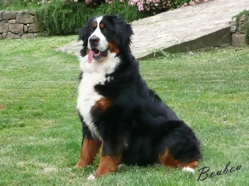 Dakota de Maldako Borda