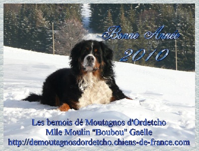 dé Moutagnos d'Ordetcho - Bonne Année 2010